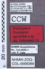 Etikett zu Megapenthes jilvensis (Schimmel, 2004)